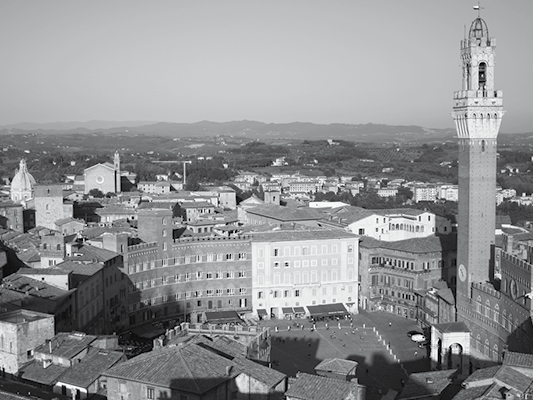 Comune di Siena