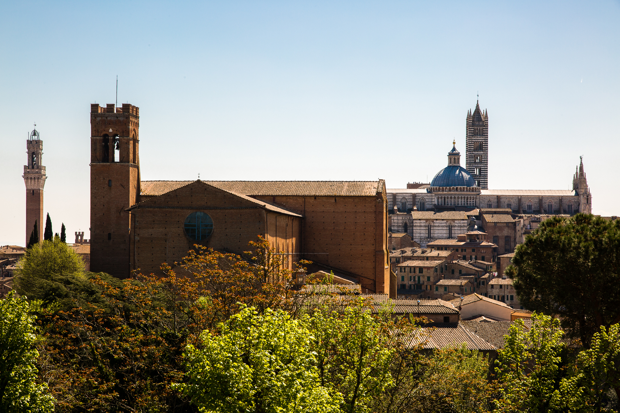 siena