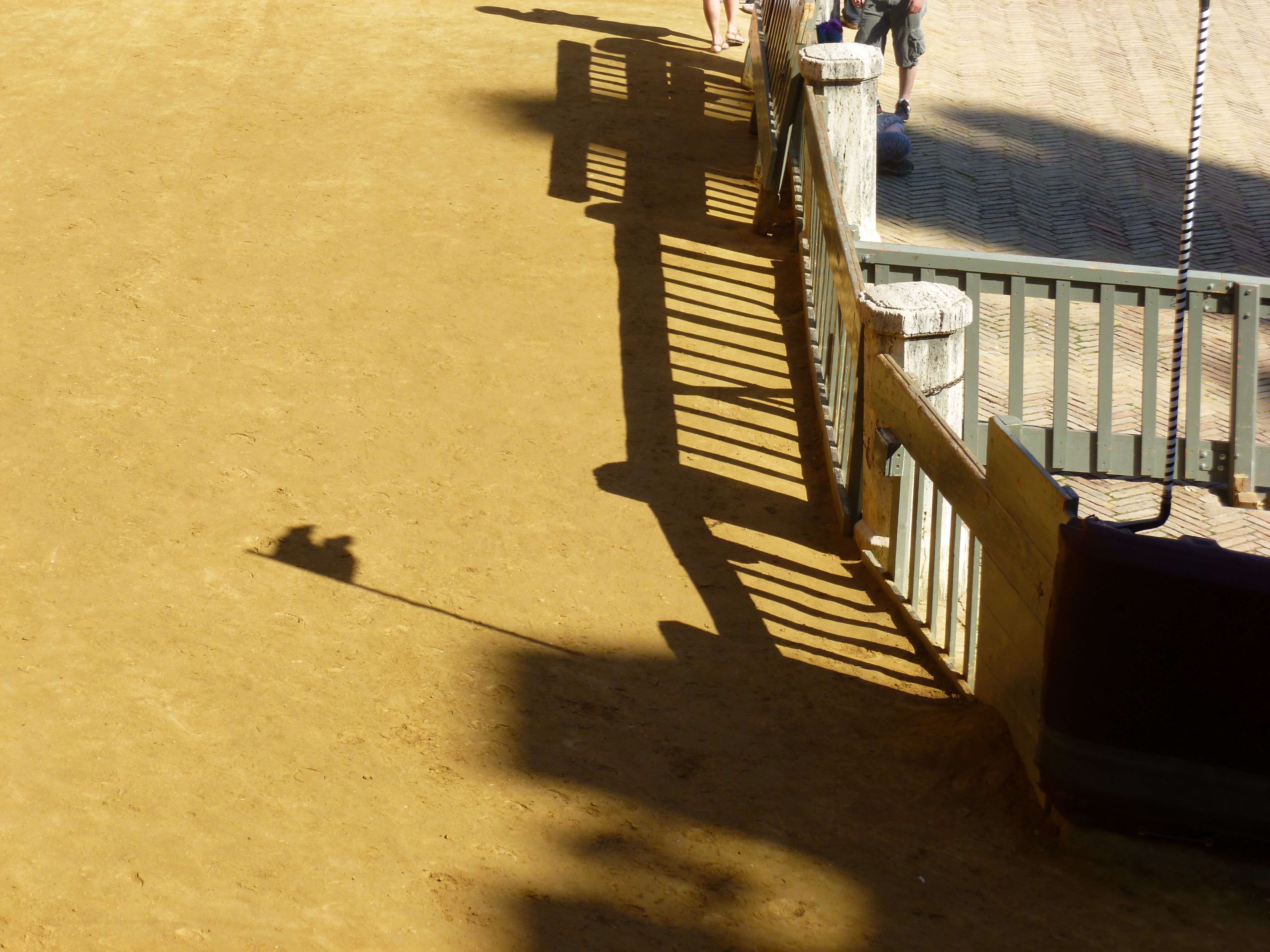 palio piazza del campo