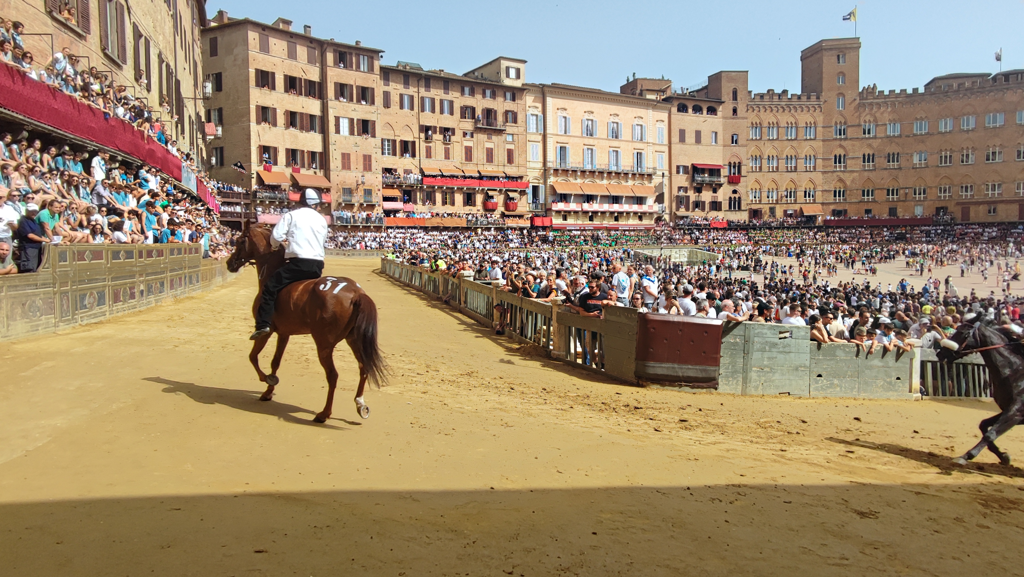 Palio 16 agosto, l’elenco dei cavalli presentati alla Tratta