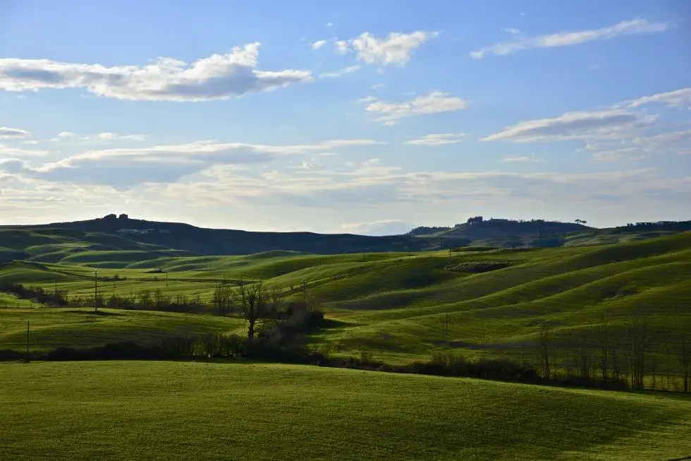 stadebianche