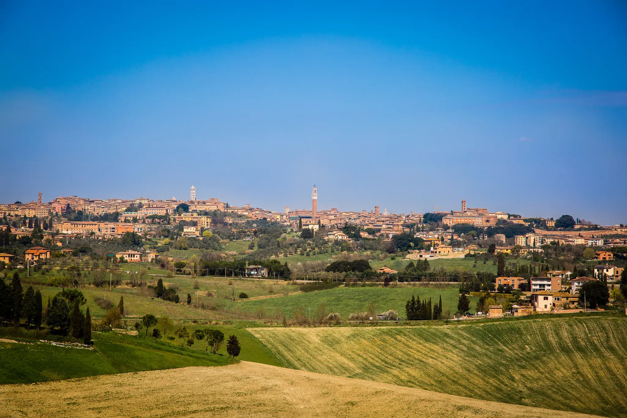 Siena - Panorama