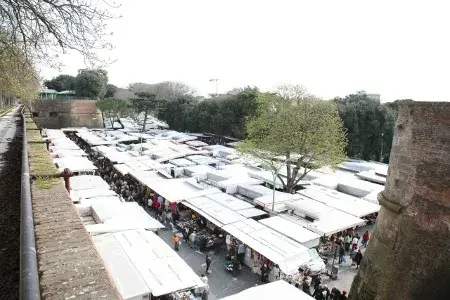 Mercato settimanale viale XXV aprile